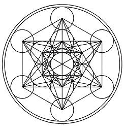 OIP-removebg-preview
